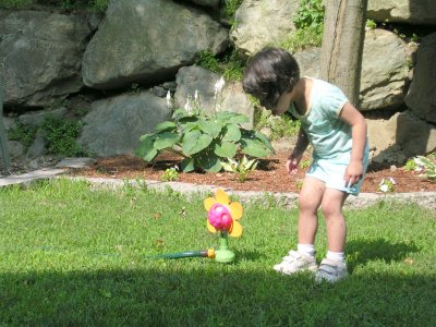 Mia trying to drink from her flower sprinkler