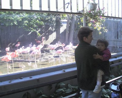 Mia and Mom by the Flamingos at the Zoo
